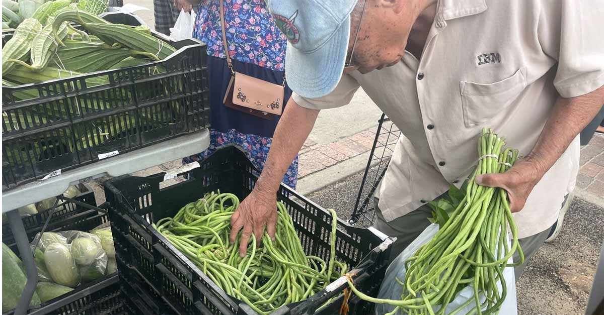 Long Beans at the Downtown Farmers' Market